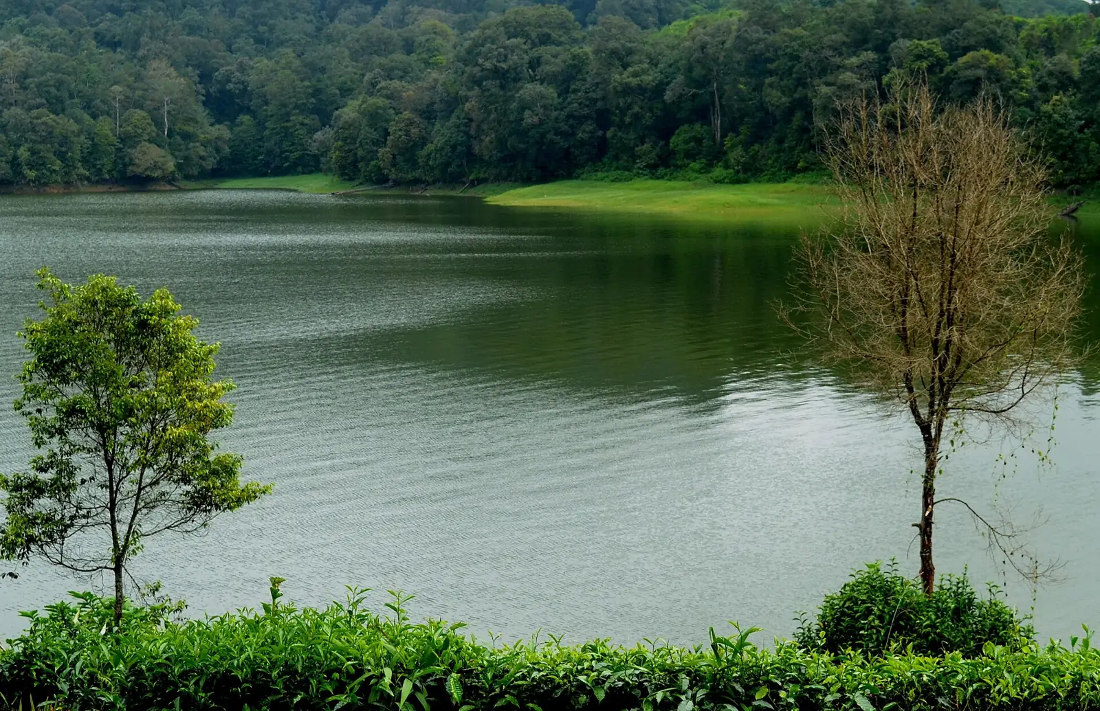 Situ Patenggang
